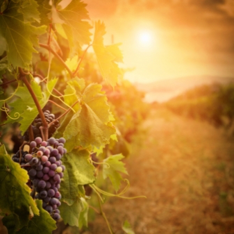 Navigation1 portrait