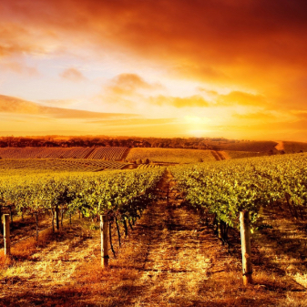 Navigation3 portrait