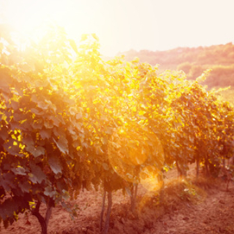 Navigation4 portrait